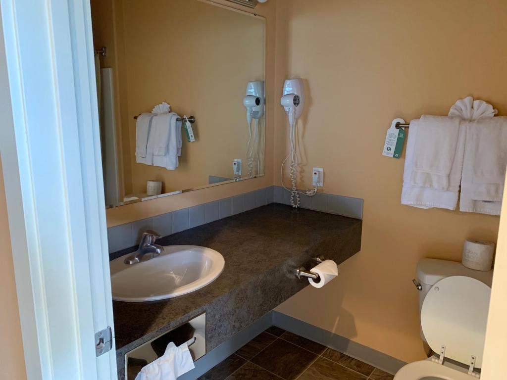 Teton Valley Motel - image 6