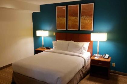 Hawthorn Suites by Wyndham Vienna VA - image 15