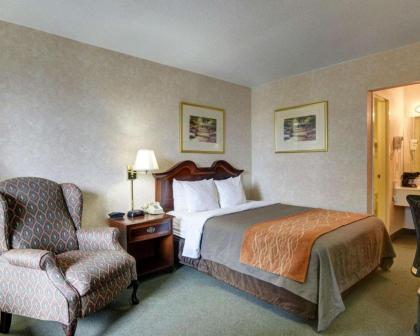 Quality Inn Tysons Corner - image 7