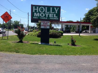 Holly Motel Southampton - image 3
