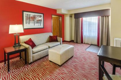 Holiday Inn Express Hotel & Suites Vinita an IHG Hotel - image 11