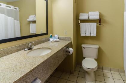 Holiday Inn Express Hotel & Suites Vinita an IHG Hotel - image 14