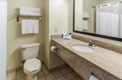 Holiday Inn Express Hotel & Suites Vinita an IHG Hotel - image 9