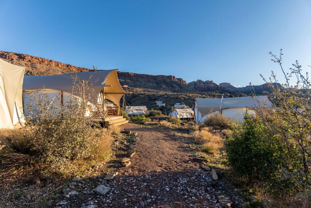 Under Canvas Zion - image 6