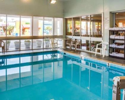 Sea View Hotel - image 4