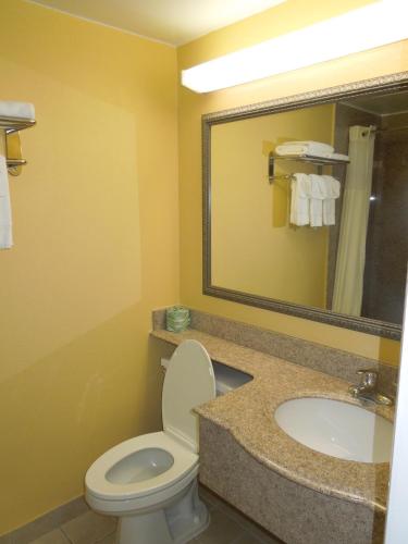 Ambassadors Inn & Suites - image 2