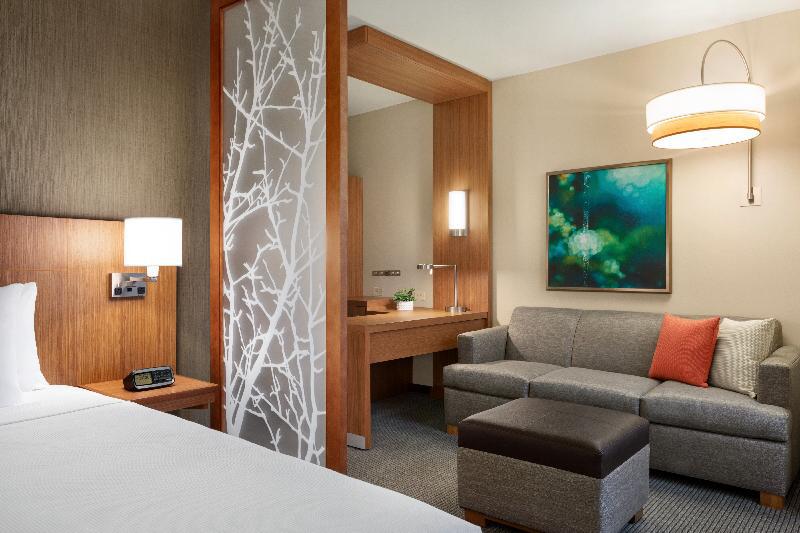 Hyatt Place Virginia Beach Town Center - image 2