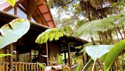 Lotus Garden Cottages - image 4