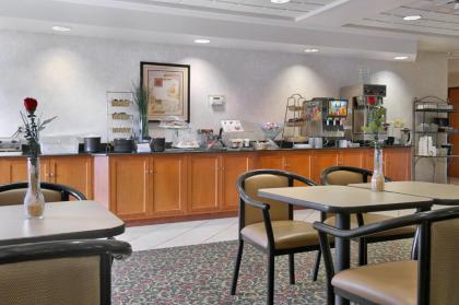Comfort Inn & Suites - image 12