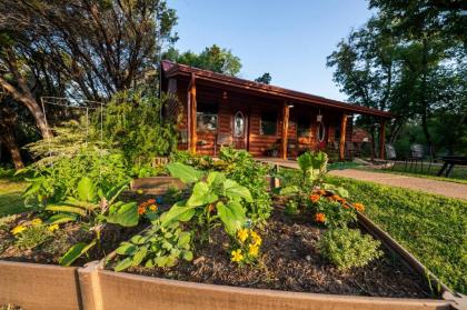 Pet Friendly Cabin 4   15 minutes from magnolia and Baylor