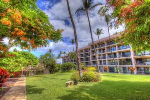 Kihei Akahi C611 - image 3