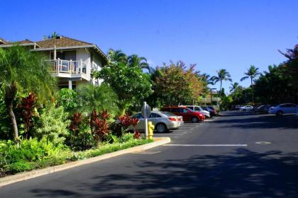 Wailea Grand Champion #148 by Ali'i Resorts - image 8