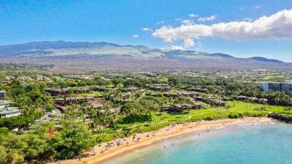 Wailea Elua #2101 by Ali'i Resorts - image 17