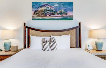 Wailea Elua #1402 by Ali'i Resorts - image 17