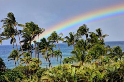 Wailea Ekahi #22D by Ali'i Resorts - image 9