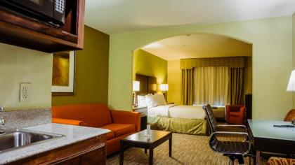 Holiday Inn Express Hotel & Suites Waller an IHG Hotel - image 13
