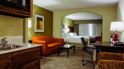 Holiday Inn Express Hotel & Suites Waller an IHG Hotel - image 2
