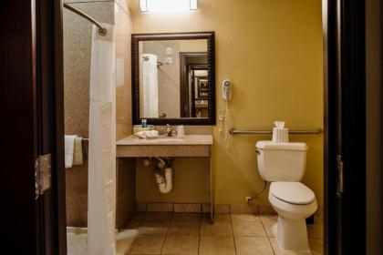 Holiday Inn Express Hotel & Suites Waller an IHG Hotel - image 3