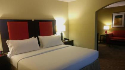 Holiday Inn Express Hotel & Suites Waller an IHG Hotel - image 6