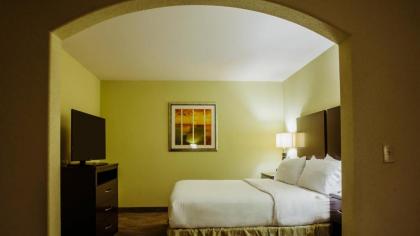 Holiday Inn Express Hotel & Suites Waller an IHG Hotel - image 8