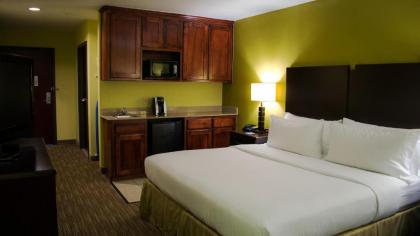 Holiday Inn Express Hotel & Suites Waller an IHG Hotel - image 9