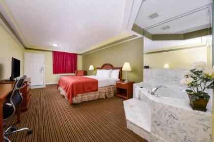 Americas Best Value Inn & Suites Waller/Prairie View - image 10