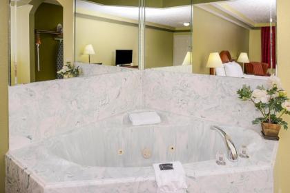 Americas Best Value Inn & Suites Waller/Prairie View - image 13