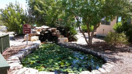 Top of the Hill RV Resort & Cabins - image 7