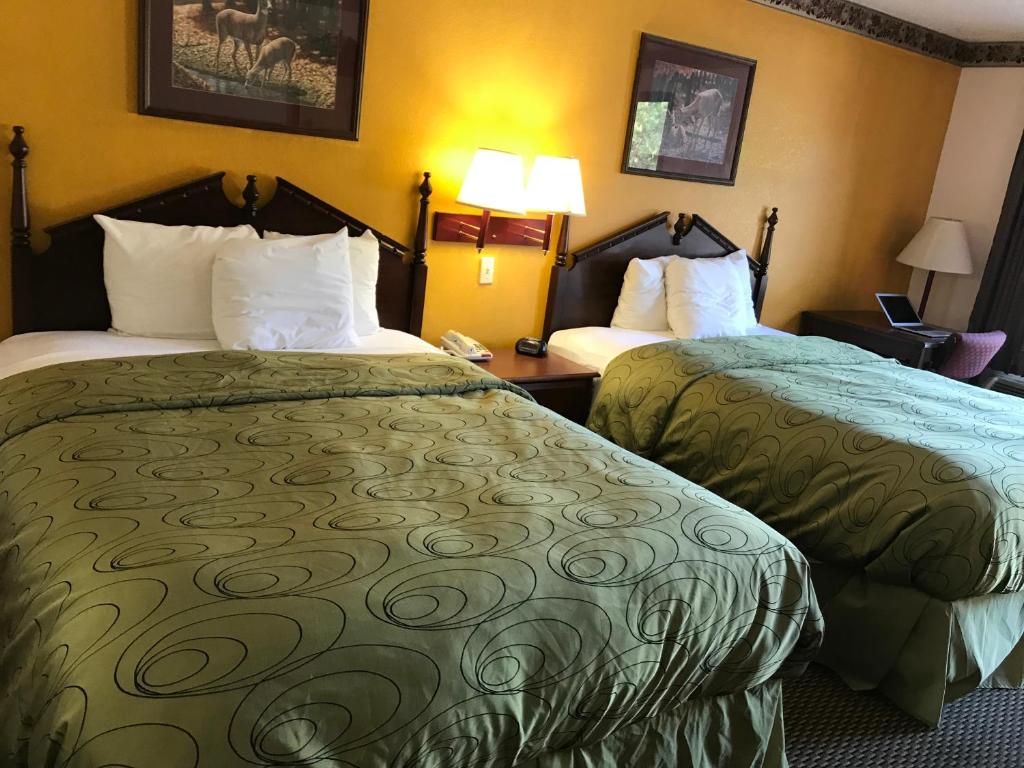 Clairmont Inn & Suites - Warren - image 3