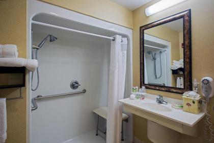 Holiday Inn Express Hotel & Suites Youngstown North-Warren/Niles an IHG Hotel - image 12
