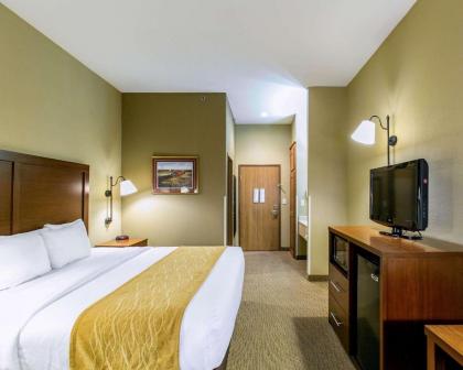 Comfort Inn Warrensburg Station - image 6
