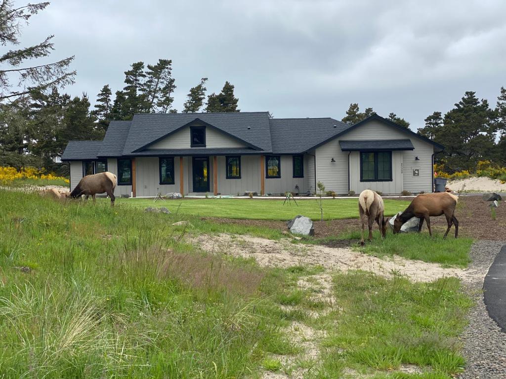 Gated Community Walkable To Beach Over An Acre Of Family Fun - image 2