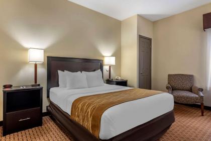 Comfort Inn & Suites Warsaw - image 14