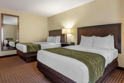 Comfort Inn & Suites Warsaw - image 7