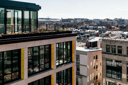 BLACK SWAN - Liz DC - Executive Flat - image 9