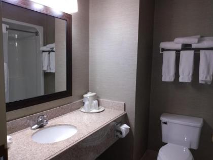 Holiday Inn Express Hotel & Suites Waterford an IHG Hotel - image 14