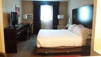 Holiday Inn Express Hotel & Suites Waterford an IHG Hotel - image 16