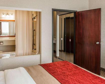 Quality Inn & Suites - image 10