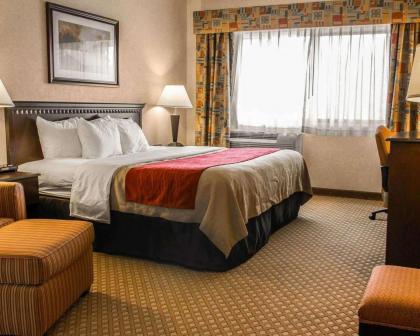Quality Inn & Suites - image 11