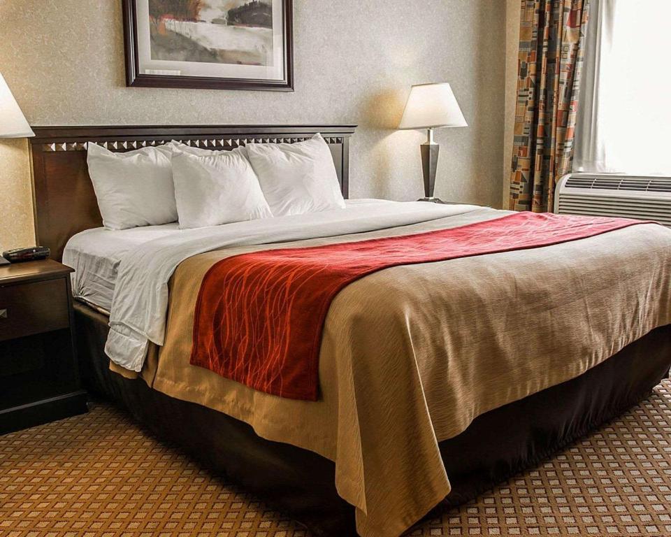 Quality Inn & Suites - image 3