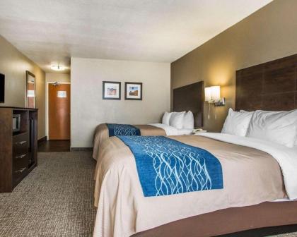Comfort Inn & Suites Waterloo – Cedar Falls - image 12