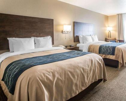 Comfort Inn & Suites Waterloo – Cedar Falls - image 13