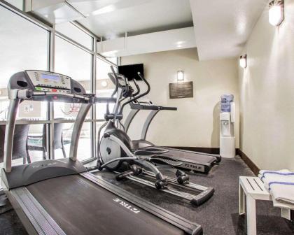 Comfort Inn & Suites Waterloo – Cedar Falls - image 14