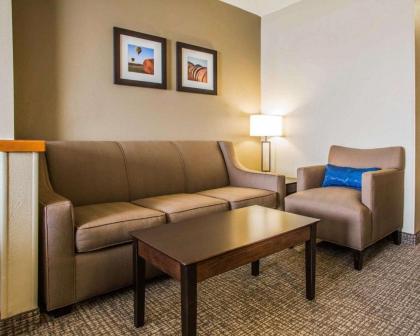 Comfort Inn & Suites Waterloo – Cedar Falls - image 9