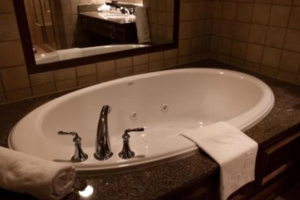 Isle Casino Hotel Waterloo - image 12