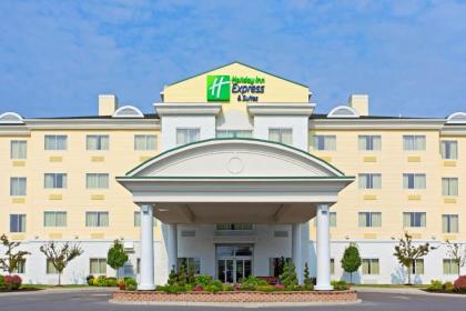 Holiday Inn Express Hotel & Suites Watertown - Thousand Islands an IHG Hotel - image 1