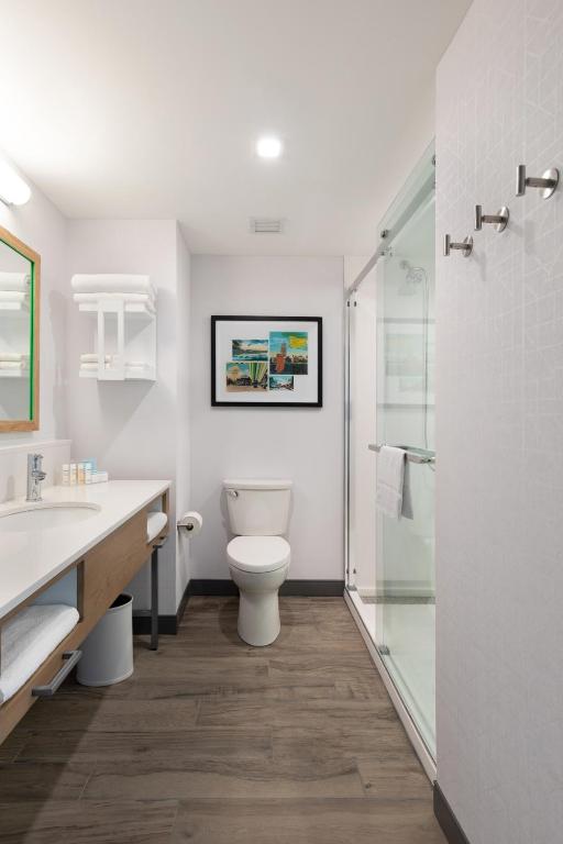 Hampton Inn & Suites Watertown Boston Ma - image 2