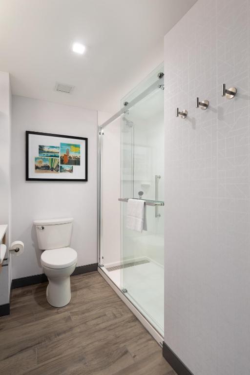 Hampton Inn & Suites Watertown Boston Ma - image 3