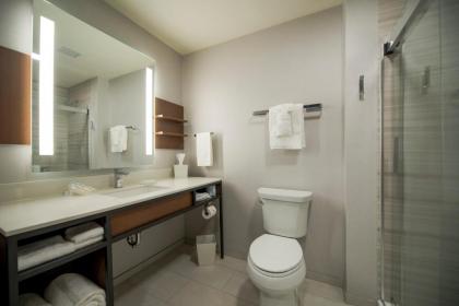 Hilton Garden Inn Wausau Wi - image 4