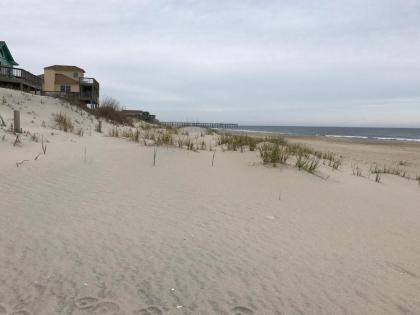 Carolina Breeze - image 11